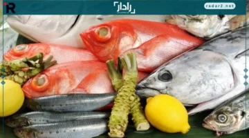 أسعار اليوم.. تحديث جديد لأسعار السمك والجمبري في 15 ديسمبر 2025